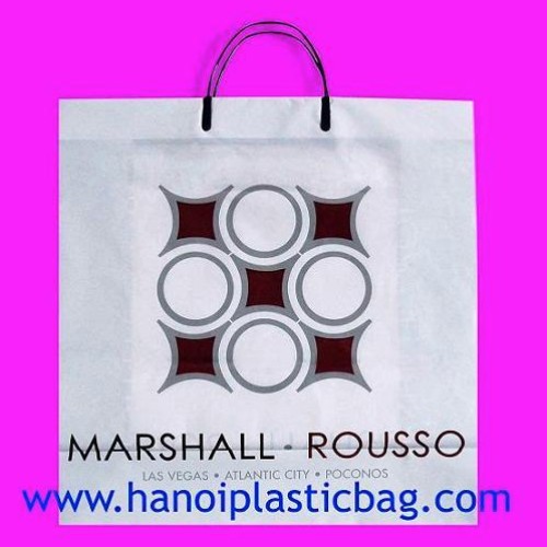 Rigid handle bag